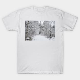 Snow Covered Branches Arching The Path T-Shirt